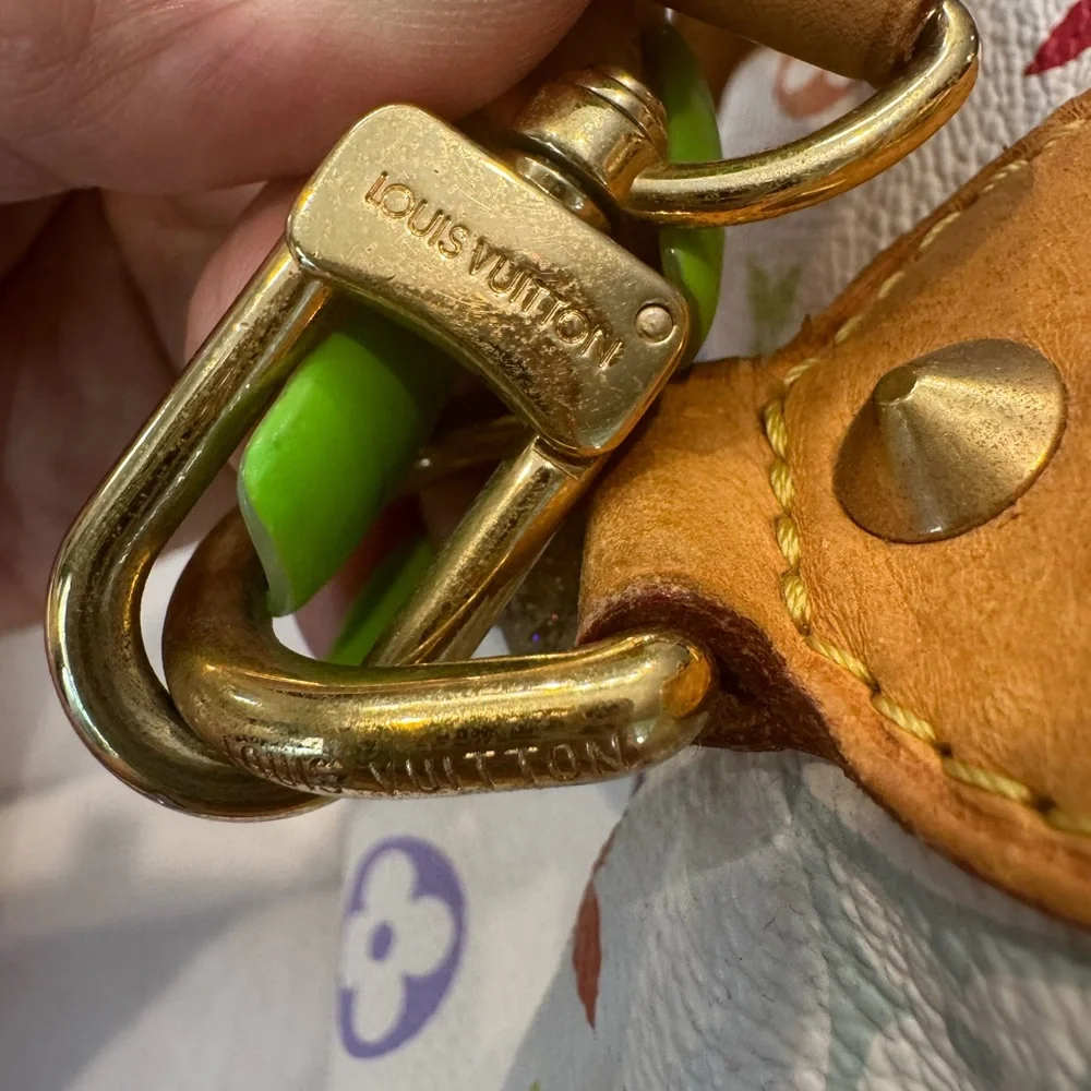 Authentic Louis Vuitton White Multicolor Courtney MM bag